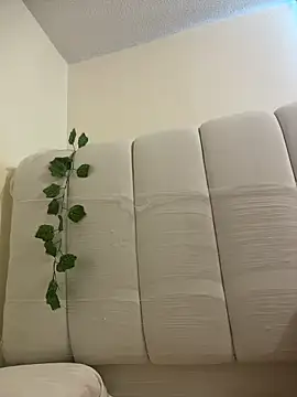 Megan Rodrigo online show from 6, 4, 2026