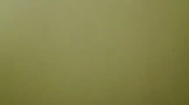 Snapshot of _Blue_Ruubyy_ chatting on 1, 2, 2025 Blue Ruubyy online show from 1, 2, 2025