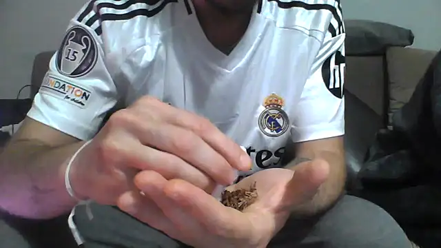 Cipotaz0 online show from 3, 1, 2025