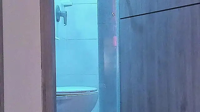 liamelf online show from 29, 12, 2024