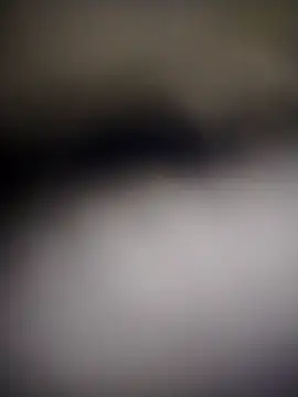 Luiz 097 online show from 16, 2, 2026