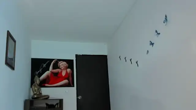 seleneh online show from 26, 4, 2026