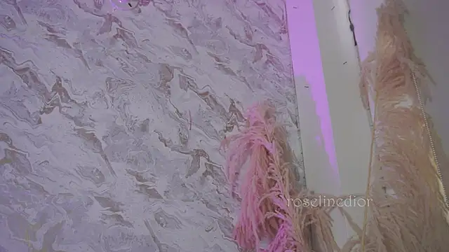 roselinedior online show from 2, 12, 2025