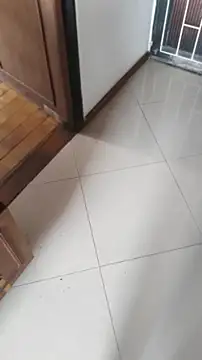 ssara miranda online show from 24, 4, 2026