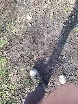 FreezingTie850 online show from 11, 3, 2026