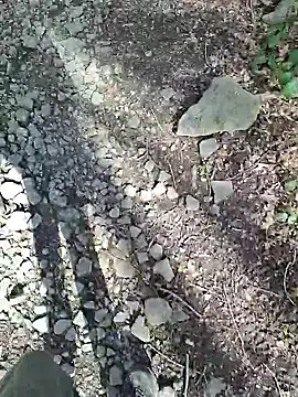 FreezingTie850 online show from 6, 4, 2026