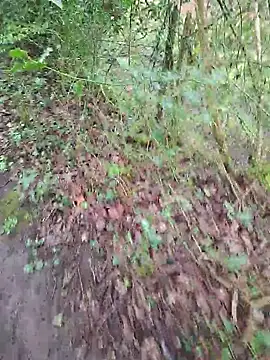 FreezingTie850 online show from 14, 4, 2026