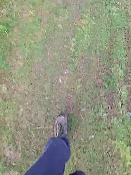 FreezingTie850 online show from 16, 4, 2026