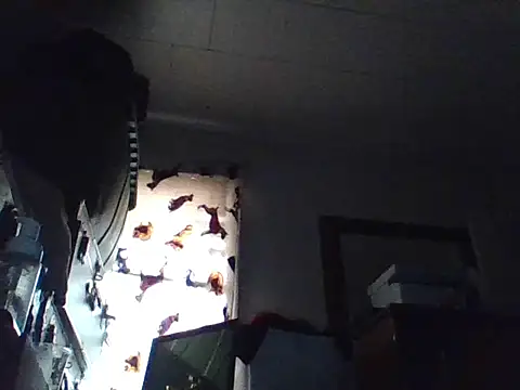 LongDickLance online show from 6, 3, 2026