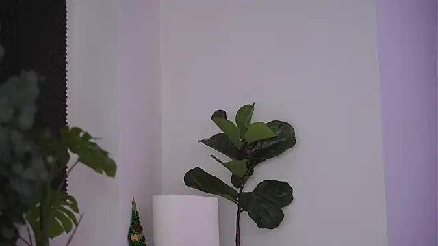 Snapshot of NicoleSarahX chatting on 7, 2, 2025 NicoleSarahX online show from 7, 2, 2025