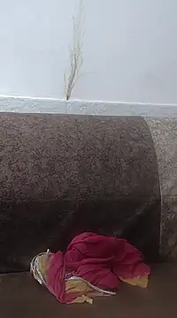 Aaradhya online show from 24, 2, 2025