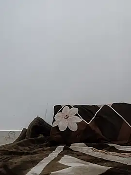 Aaradhya online show from 21, 4, 2026