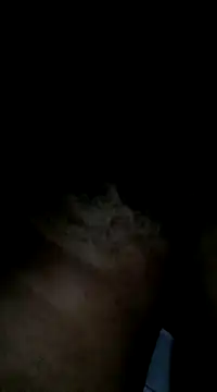 Sergipano fogozinho online show from 28, 1, 2025