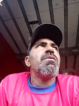 Sergipano fogozinho online show from 3, 10, 2025