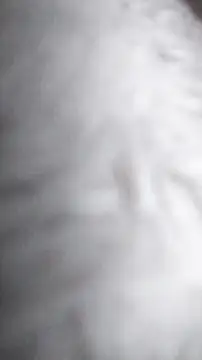 Snapshot of Ajhustler1@xh chatting on 9, 1, 2026 Ajhustler1xh online show from 9, 1, 2026