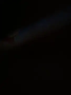 thien1902 online show from 5, 11, 2025