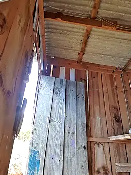 fernandes v online show from 25, 1, 2025