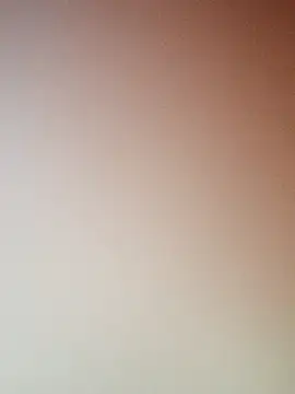 zhenzhen521 online show from 18, 1, 2026