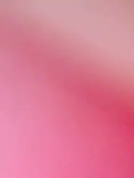 zhenzhen521 online show from 14, 3, 2026