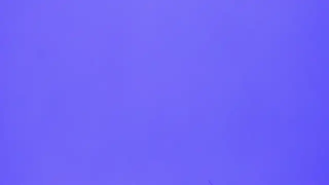 brenda sofia2 online show from 21, 11, 2025