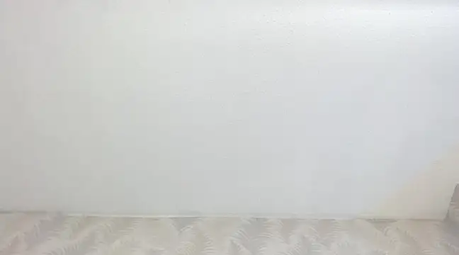 KasandraPhillips online show from 13, 2, 2025