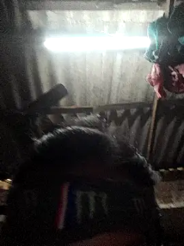 Snapshot of HotSexyBoudi chatting on 12, 1, 2025 HotSexyBoudi online show from 12, 1, 2025