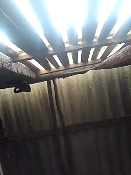 Snapshot of HotSexyBoudi chatting on 19, 2, 2025 HotSexyBoudi online show from 19, 2, 2025