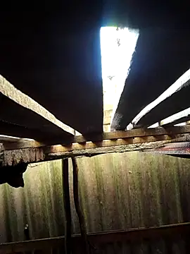 Snapshot of HotSexyBoudi chatting on 29, 9, 2025 HotSexyBoudi online show from 29, 9, 2025