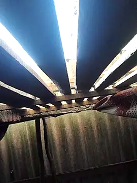 Snapshot of HotSexyBoudi chatting on 16, 10, 2025 HotSexyBoudi online show from 16, 10, 2025