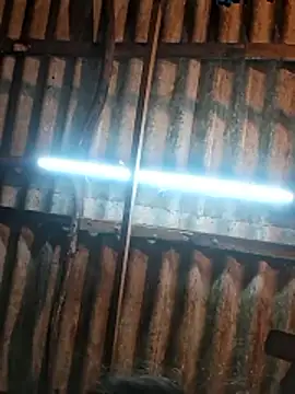 Snapshot of HotSexyBoudi chatting on 9, 1, 2026 HotSexyBoudi online show from 9, 1, 2026