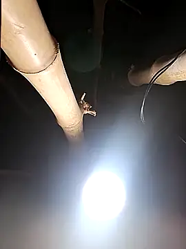 Snapshot of HotSexyBoudi chatting on 26, 2, 2026 HotSexyBoudi online show from 26, 2, 2026