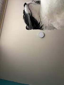 Kimmymadison- online show from 15, 1, 2026