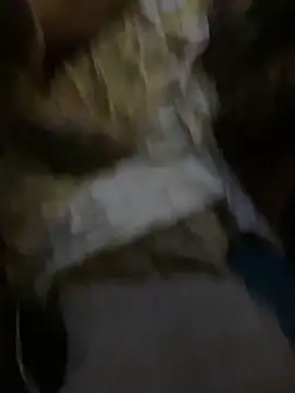 Snapshot of WilldoPita chatting on 6, 1, 2025 WilldoPita online show from 6, 1, 2025