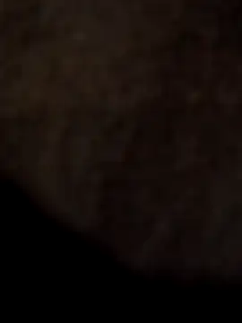 ySqmbVanbe online show from 11, 4, 2026