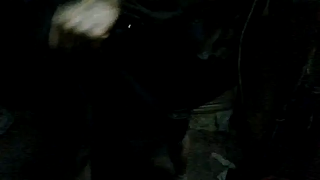 ySqmbVanbe online show from 22, 4, 2026