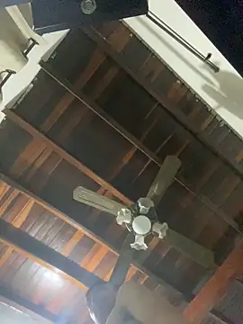 tom thick online show from 20, 12, 2024