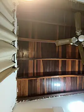 tom thick online show from 11, 3, 2025