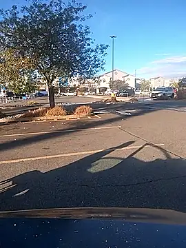 FloppyPickle4u online show from 9, 9, 2025