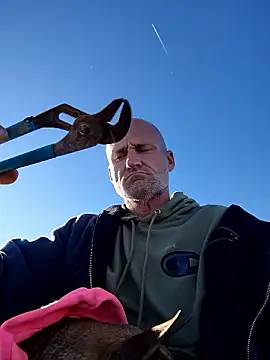 FloppyPickle4u online show from 10, 1, 2026