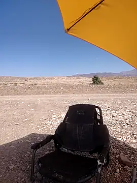 FloppyPickle4u online show from 27, 4, 2026