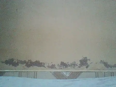 Naivegirrl online show from 29, 6, 2026