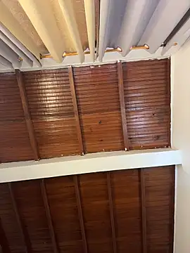 emiss  online show from 4, 4, 2026