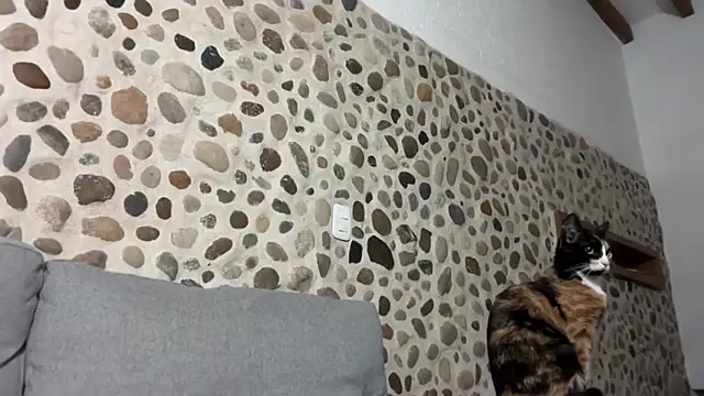 David Brown18 online show from 1, 10, 2025