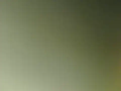 lovense test04 online show from 11, 3, 2025