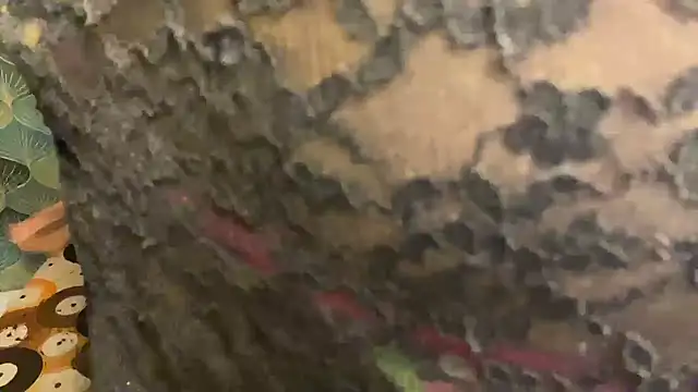 shuhana  online show from 27, 4, 2026