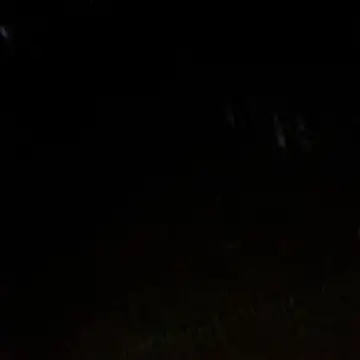 Snapshot of Gifttheskimaskboy chatting on 12, 2, 2026 Gifttheskimaskboy online show from 12, 2, 2026