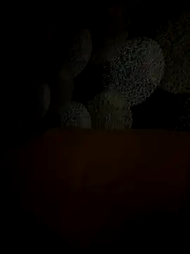 Snapshot of Kristis43 chatting on 31, 10, 2025 Kristis43 online show from 31, 10, 2025