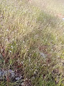 sexoooj online show from 22, 10, 2025