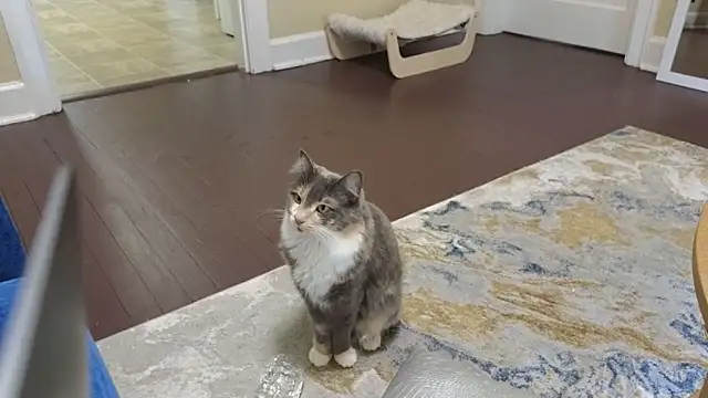 sexylilly69 online show from 11, 4, 2026