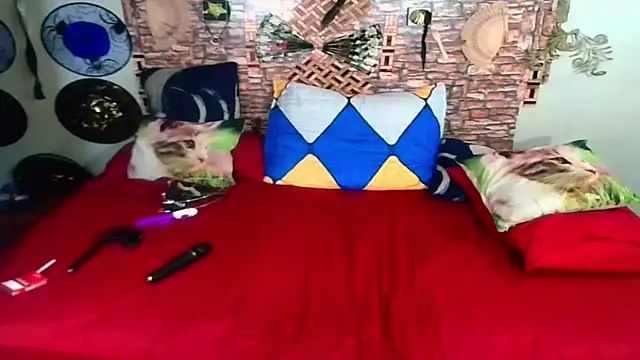 Indian Blaze00 online show from 4, 10, 2025